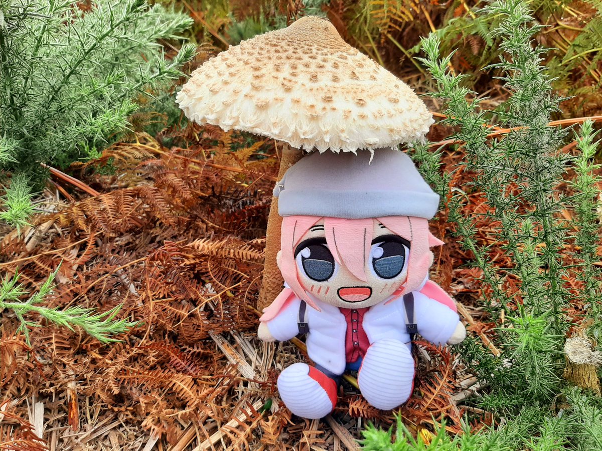 Beachmaster tweet media