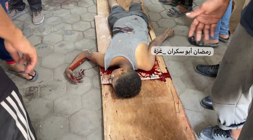 Motasem A Dalloul tweet media