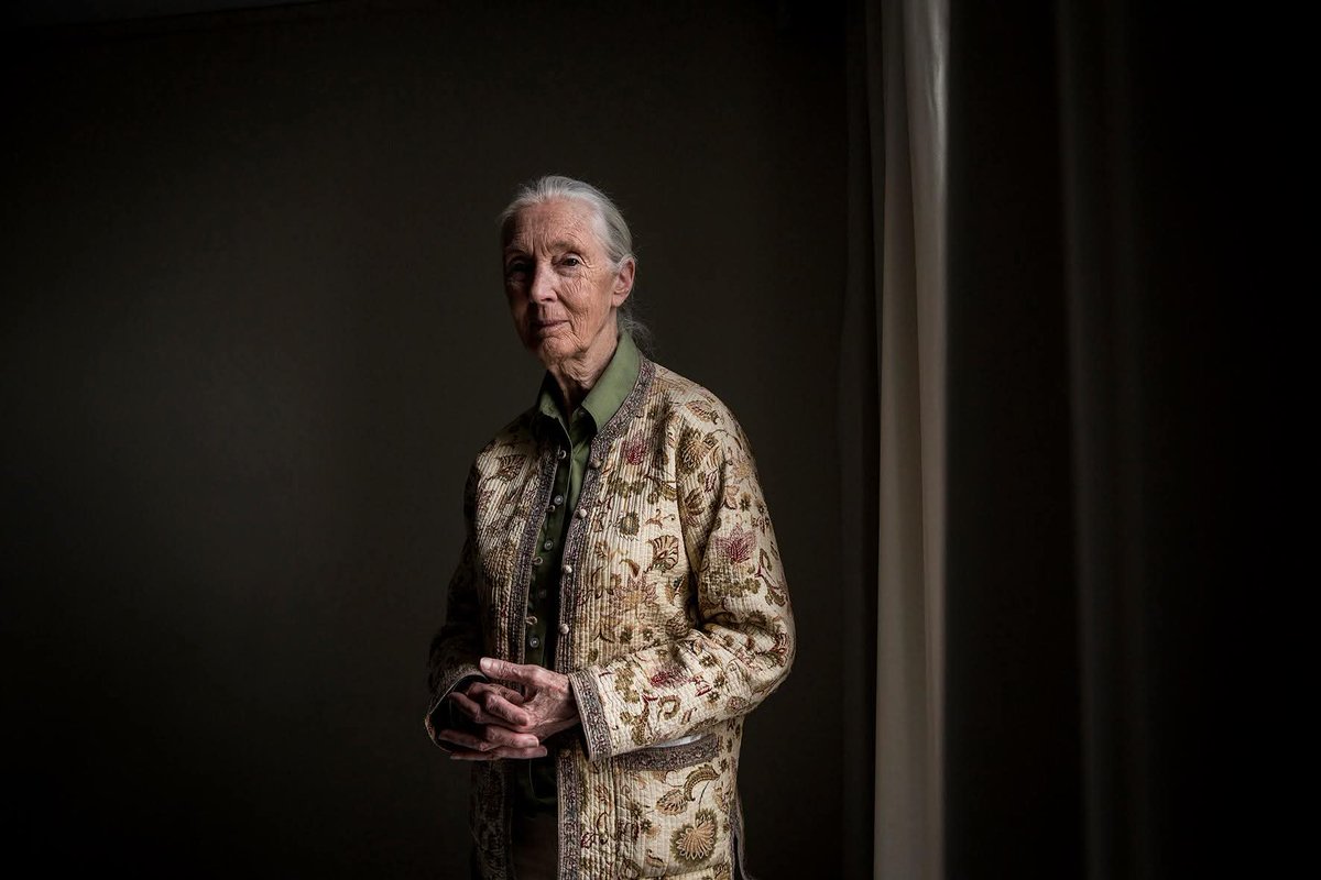 Hace 9 años retraté a Jane Goodall para El Mundo. 
El titular con una de sus frases es completamente actual: "Llevamos un estilo de vida loco e insostenible"
Foto: Olmo Calvo
elmundo.es/ciencia/2016/0…