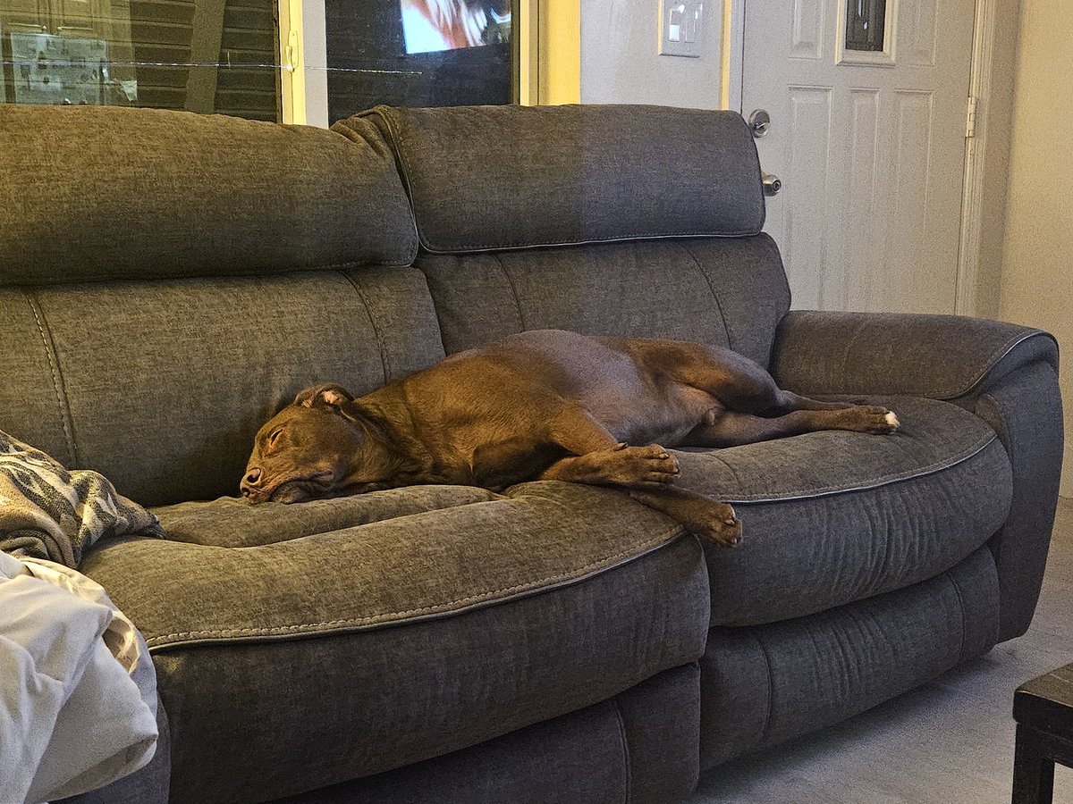 Spencer Sabie tweet media