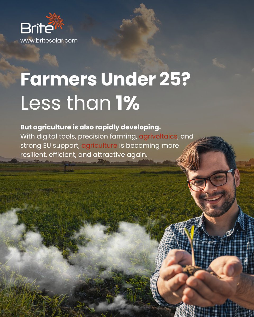 Brite Solar tweet media