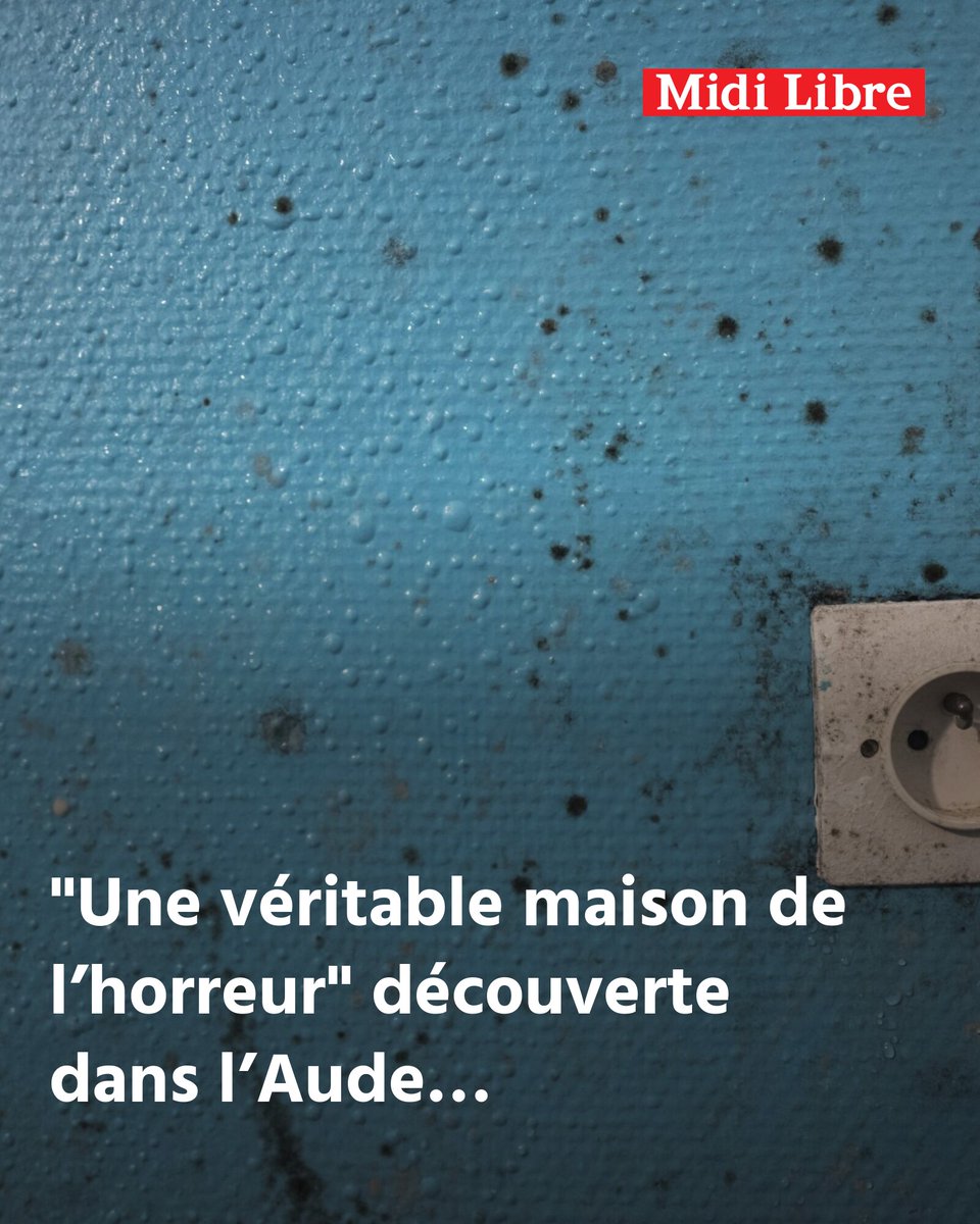 "Une véritable maison de l’horreur" découverte dans l’Aude : des centaines de cadavres de chats stockés dans des boîtes et des sacs
➡️ l.midilibre.fr/nN4V