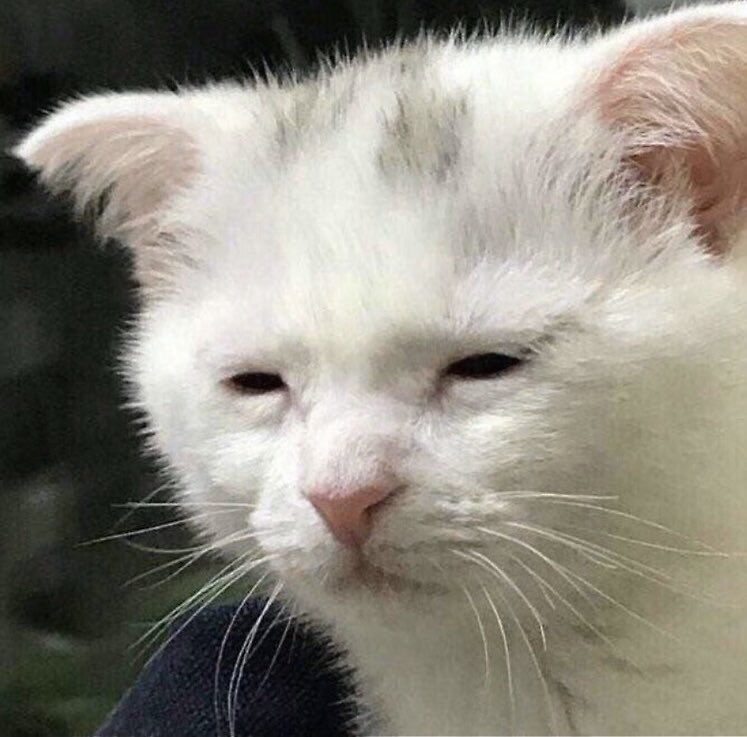 Imagine jetzt ein nap… ich bin sooooo müde help