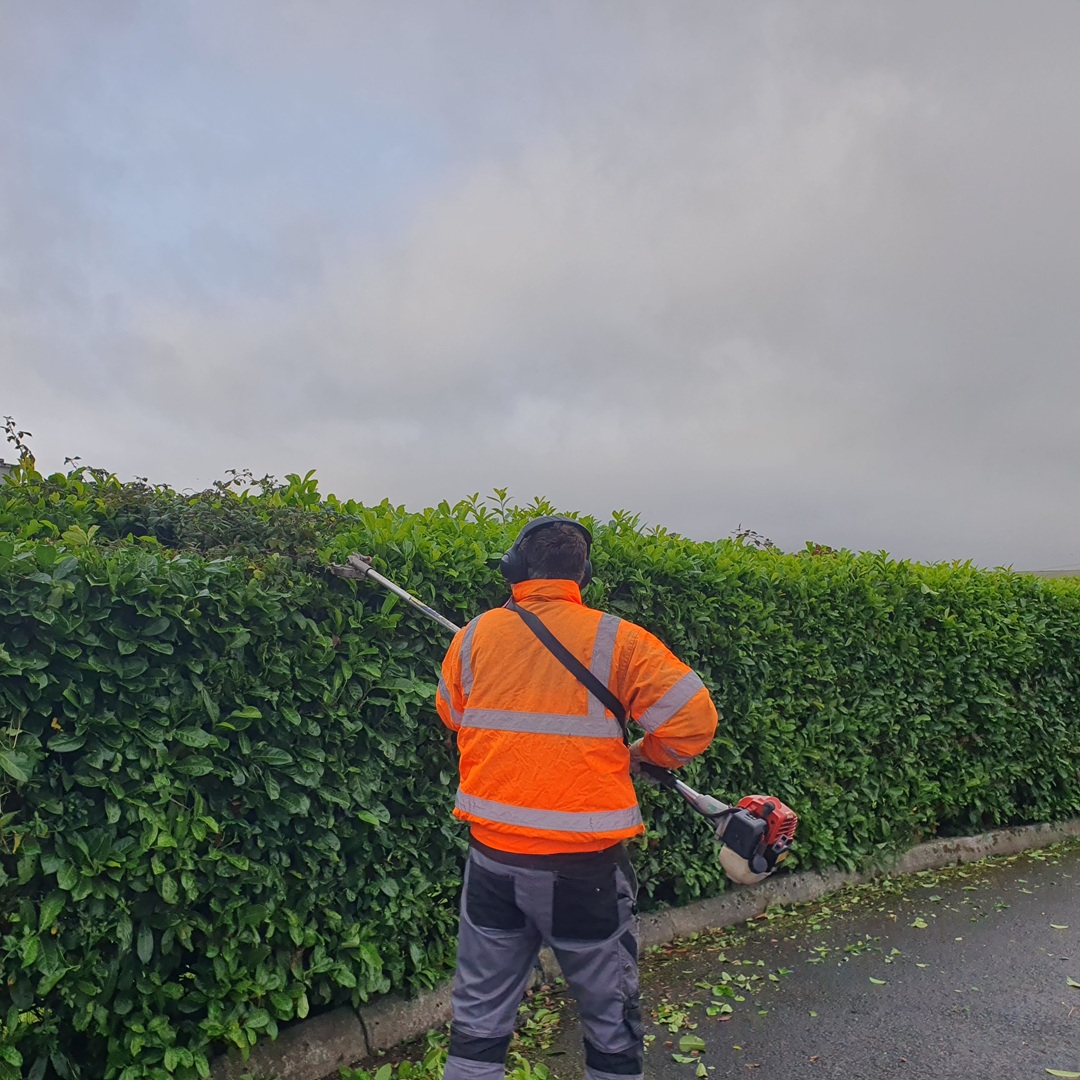Kilgarvan Community Employment tweet media