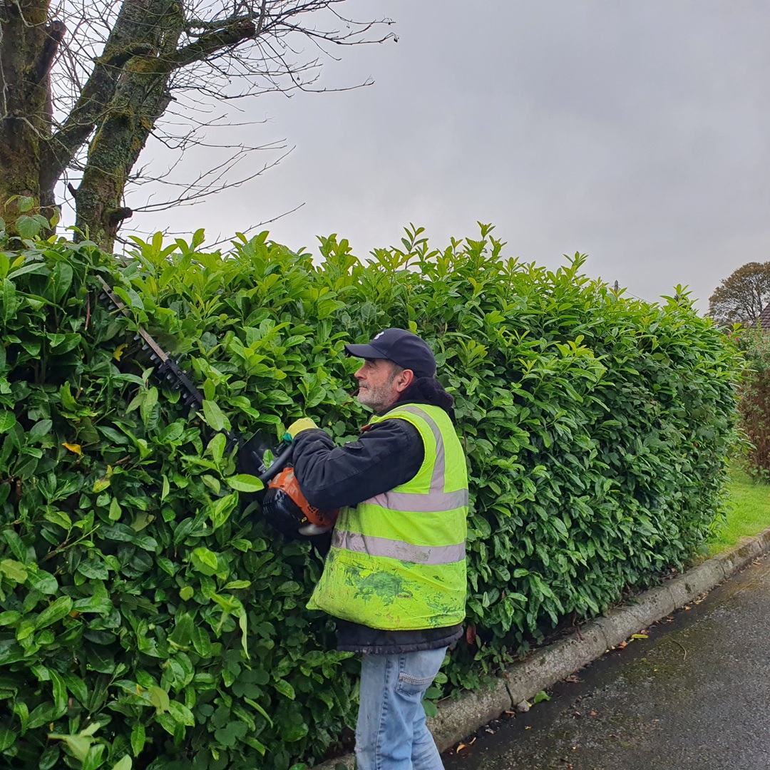 Kilgarvan Community Employment tweet media