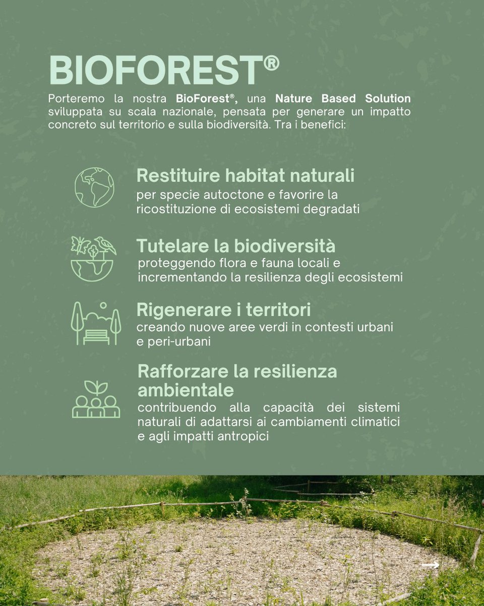 ReteClima's tweet image. 🌍Al Salone della #CSRIS 2025 presenteremo #BioForest®, #NBS per #biodiversità e resilienza, compenseremo la #CarbonFootprint dell'evento con progetti certificati e, con @AWorld_ActNow, 500 azioni positive diventeranno 1.000 #coccinelle! Non perdere il nostro Talk il giorno 8/10!