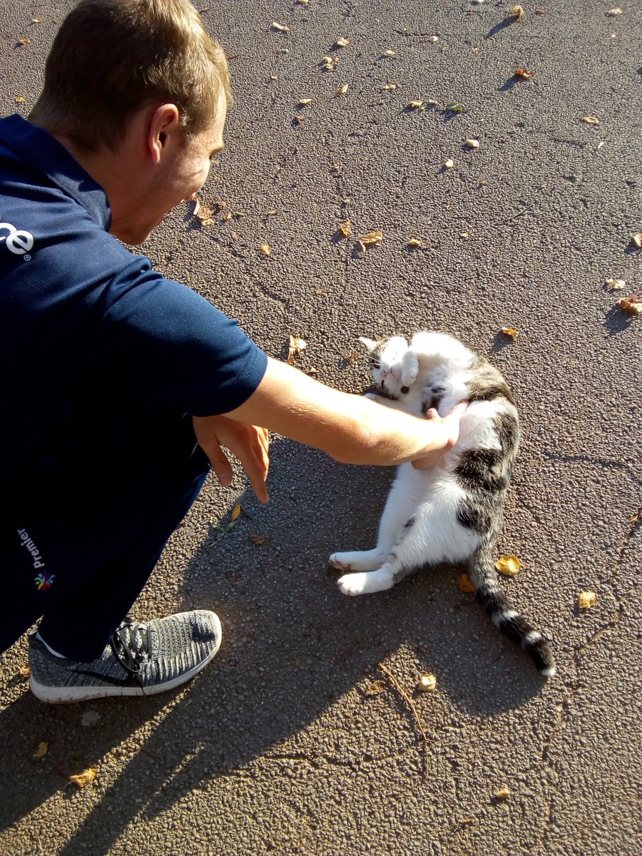 Our #ThrowbackThursday is from 6 years ago today.
Cilla staging a one cat pitch invasion during a PE lesson. We think she knew we’d resort to rattling the Dreamies tin on the sidelines to get her off the pitch ♥️🐾😹
#cats #catsoftwitter # Hedgewatch