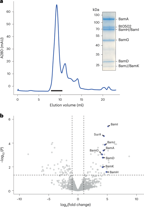 Nature Microbiology tweet media