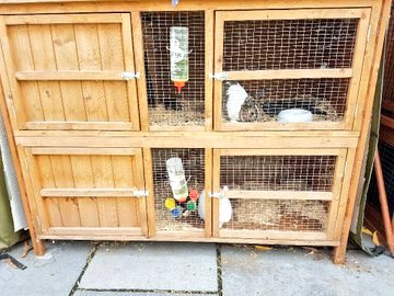 JoelOptimist1's tweet image. HOW CAN YOU BUILD A MODERN #RABBIT🐇 HOUSE? 

This may help someone on your timeline. Kindly REPOST for others.

Constructing a rabbit house (hutch) is a fulfilling project that ensures your rabbits have a safe and comfortable environment. Here’s a streamlined guide to help you…