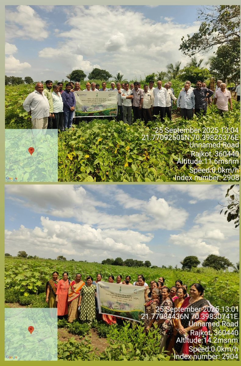 NMEO OIL SEED યોજના અંતર્ગત સદભાવ કન્ઝયુમર્સ મલ્ટી સ્ટટે કો. ઓ. સોસાયટી લી. તથા ખેતીવાડી વિભાગ રાજકોટ જિલ્લા ના સંયુકત ઉપક્રમે ધોરાજી તાલુકાના ગામોમાં ખેડૂત તાલીમ નું આયોજન કરવા માં આવ્યું.@RAGHAVJIPATEL @GUJAGRIDEPT <a href="/DDORAJKOT1/">District Panchayat Rajkot</a> @COLLECTORRJT @DAORAJKOT @INFORAJKOTGOG