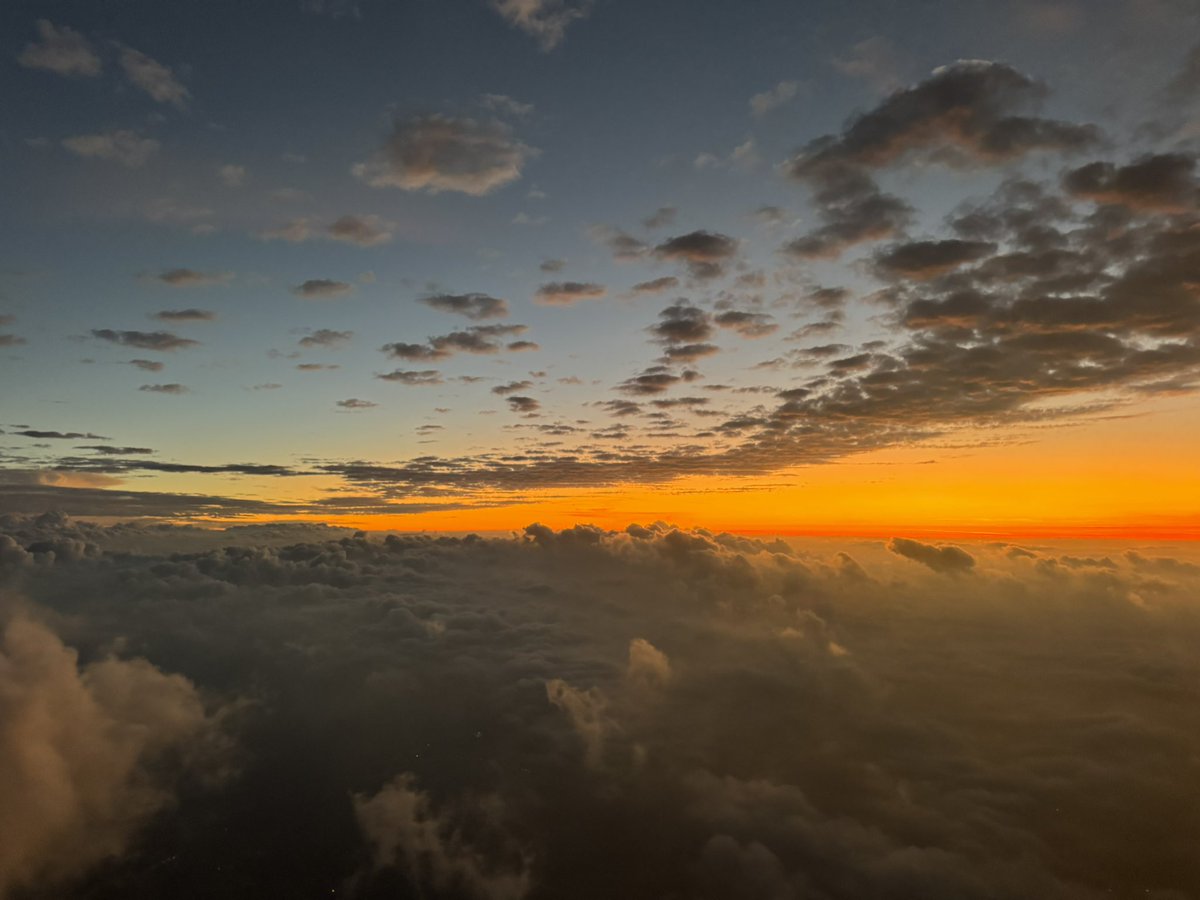 Mark Preston tweet media