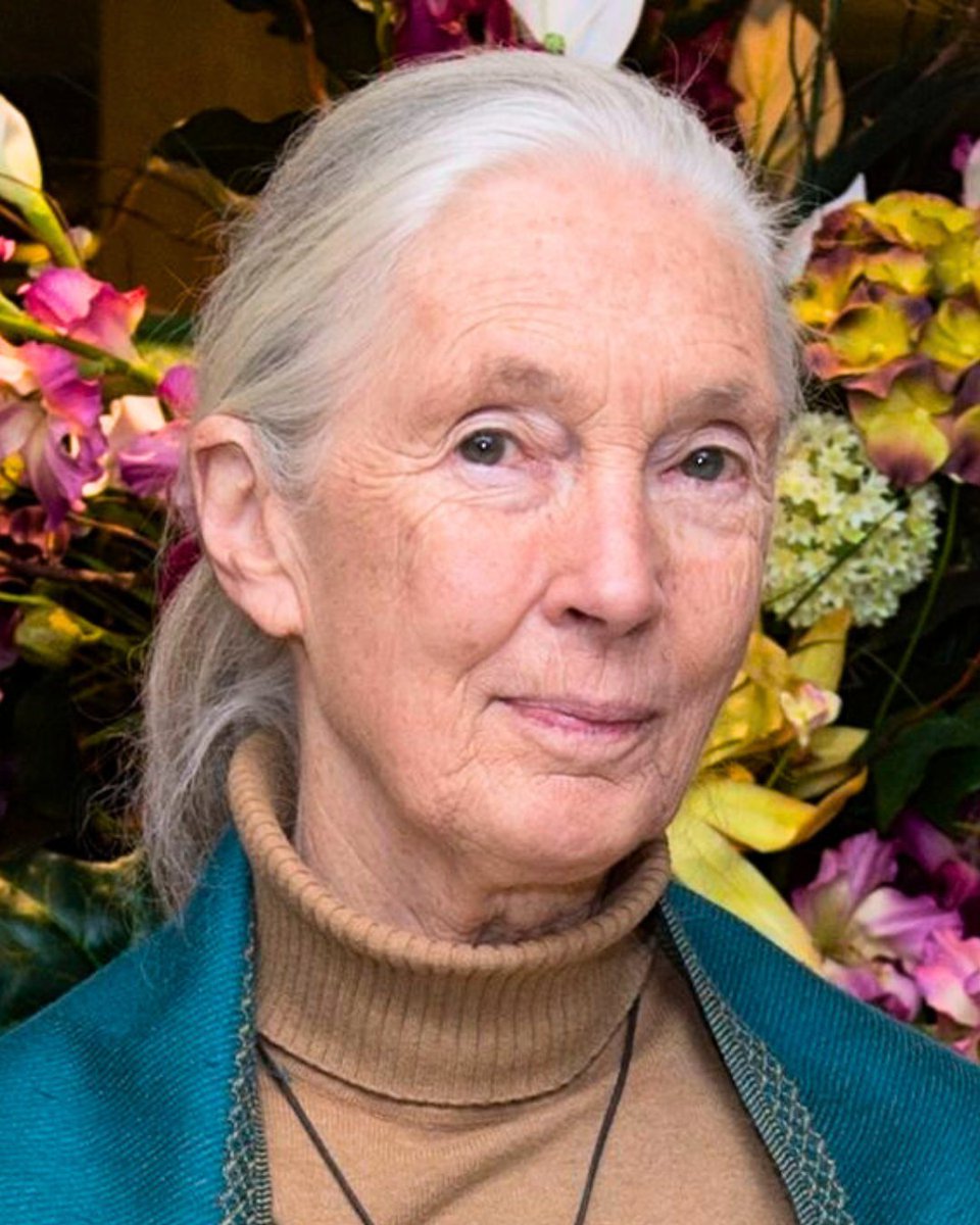 Elephant Family tweet media