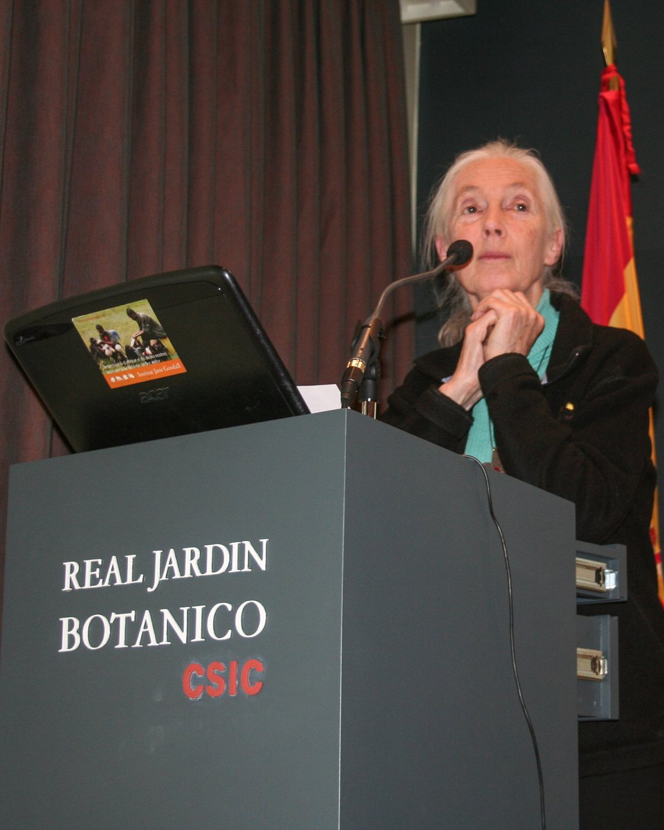 Lamentamos la pérdida de Jane Goodall, referente mundial en la defensa de la biodiversidad.
En 2009 visitó el <a href="/RJBOTANICO/">REAL JARDÍN BOTÁNICO</a> <a href="/CSIC/">CSIC</a>, donde ofreció una conferencia inolvidable sobre conservación y educación para un futuro sostenible.
Su legado seguirá inspirándonos.