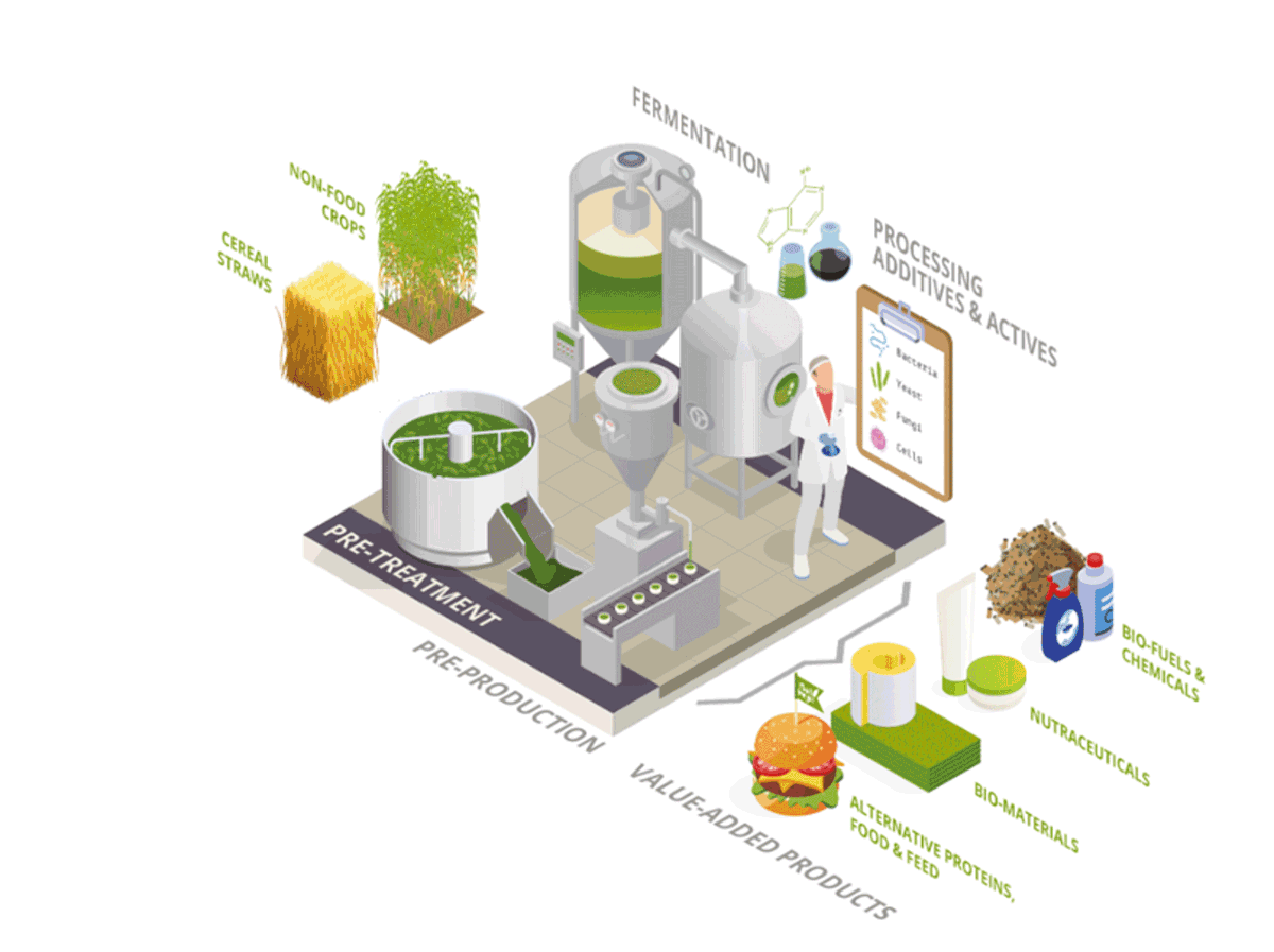 Biomass Connect tweet media