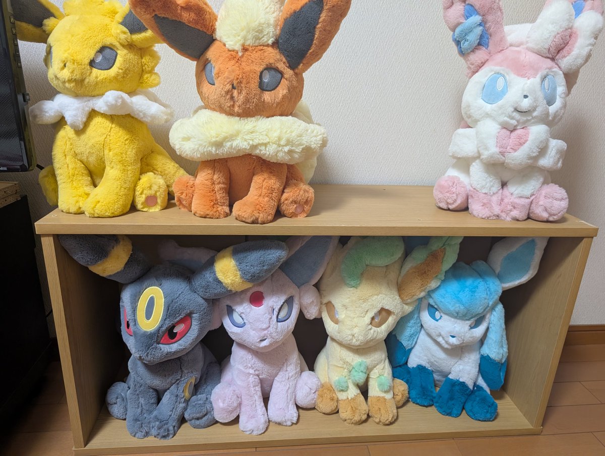 madao39088188's tweet image. ポケセンで大きいサイズのブイズのぬいぐるみを沢山お迎えして、あとシャワーズちゃんだけになりました！(・∀・)

早くお迎えして集合写真を撮りたいな😊🎶