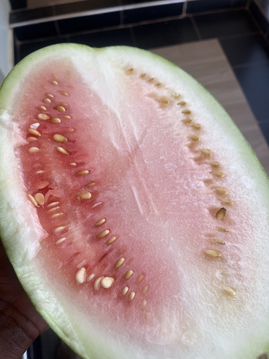 executive sous chef tweet media