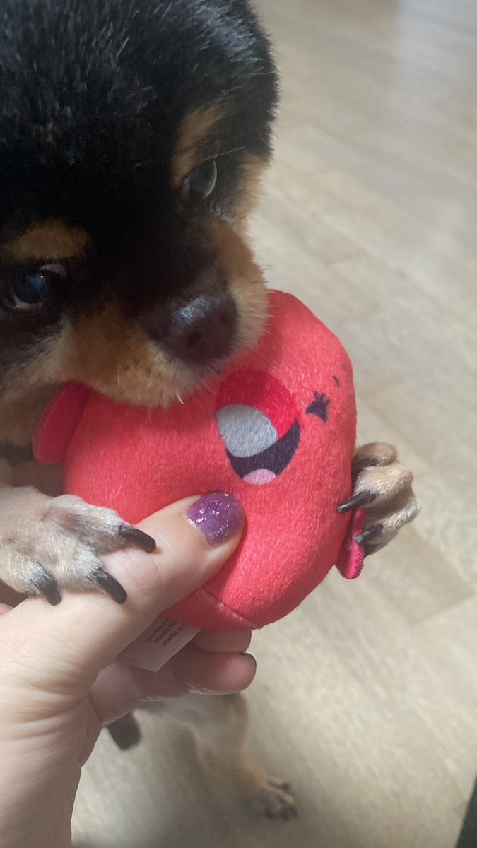 빨간거만 보면 사고싶고 빨간거만 보면 물고싶ㄱ고