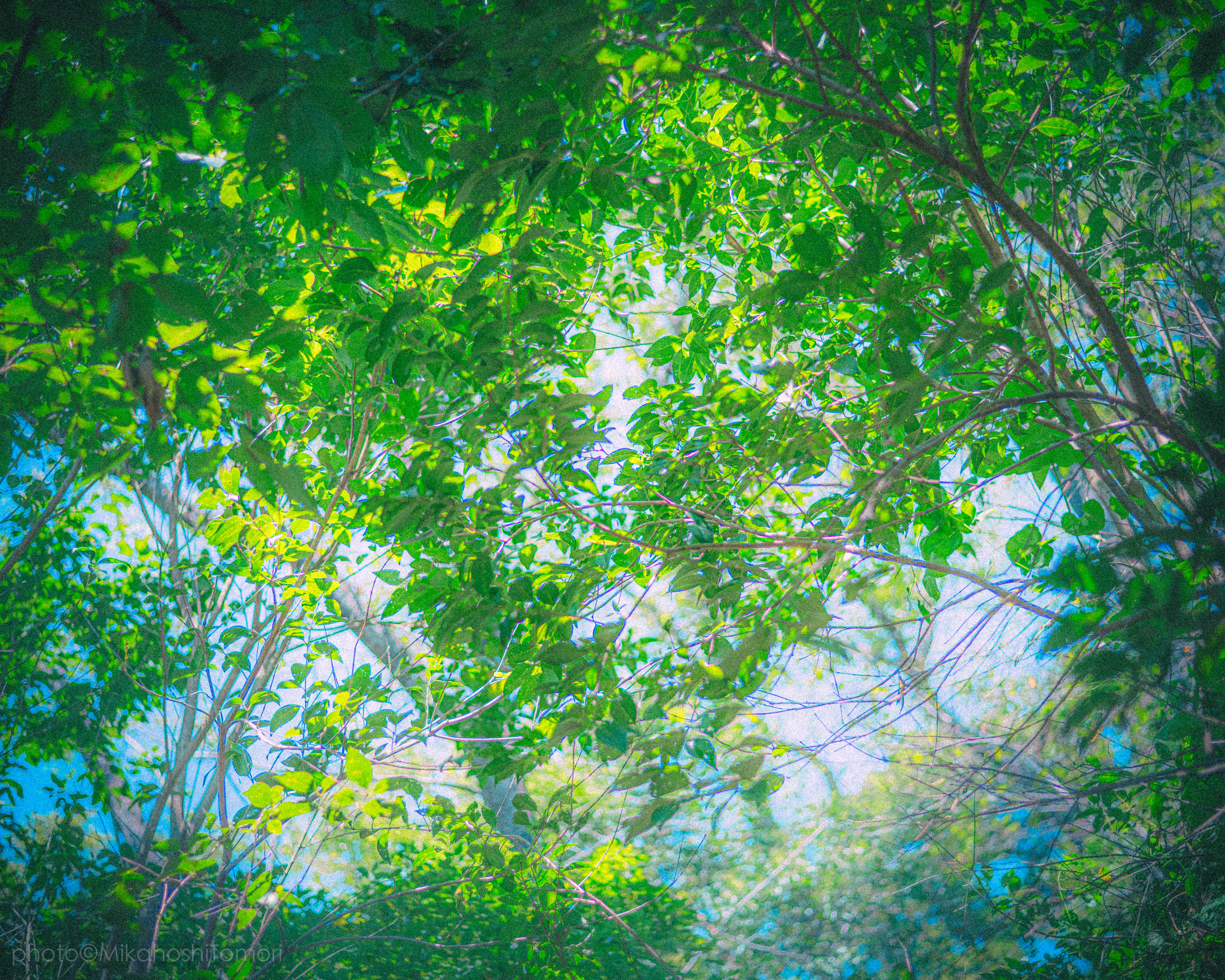 冬景圖 yuya (@yuya0240) / Posts / X