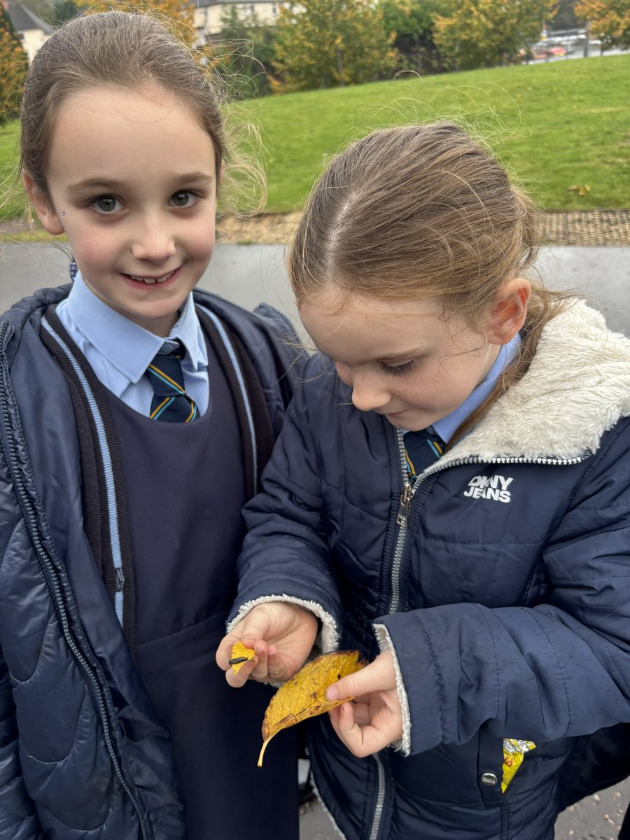 Mrs Maxwell tweet media