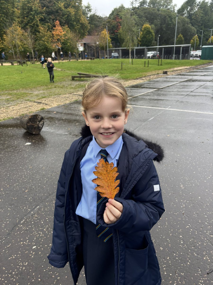 Mrs Maxwell tweet media