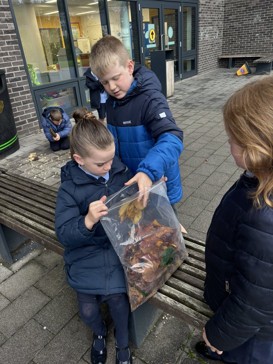 Mrs Maxwell tweet media