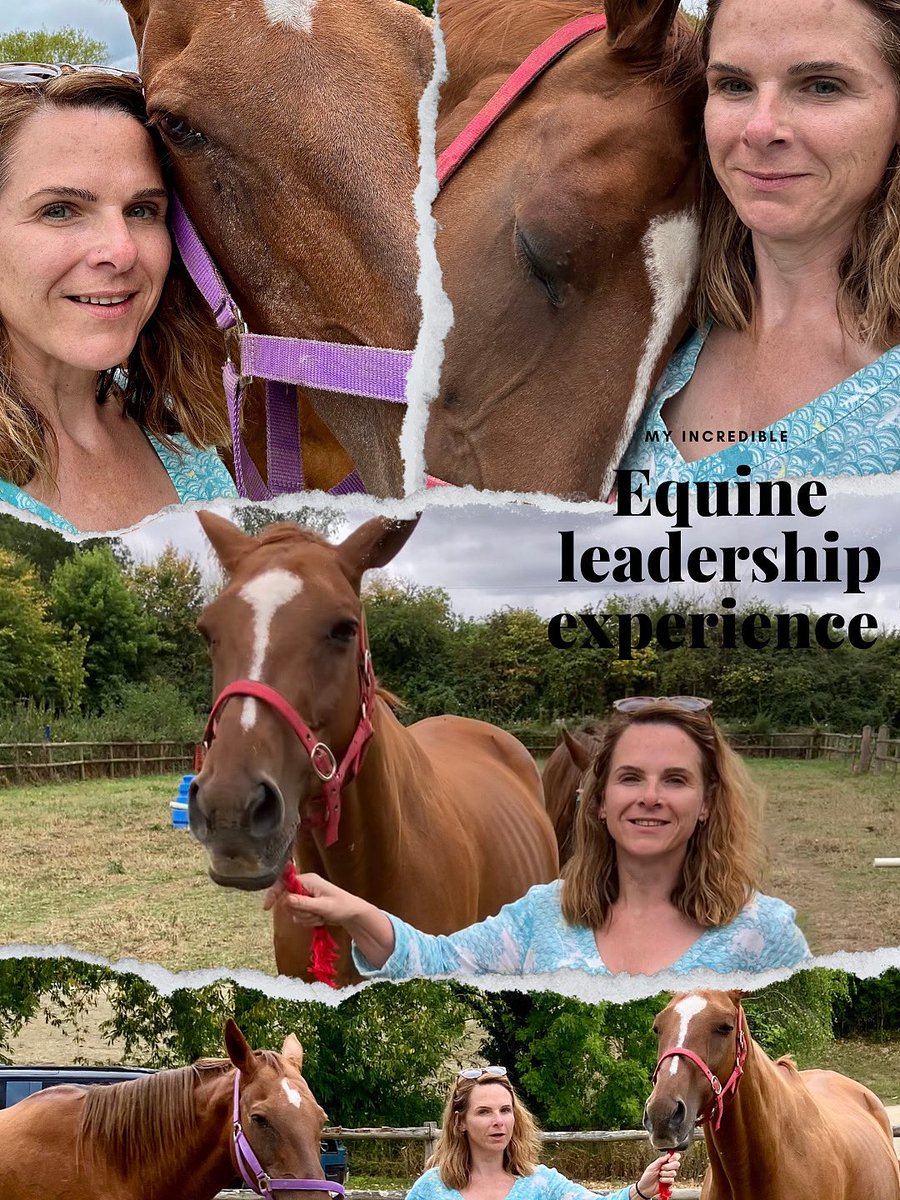 Equine leadership Incredible. Life-changing. Unforgettable. I spent 2 transformative days with Rosie Tomkins &amp; her horses @FNightingaleFdn scholarship.Equine-guided leadership taught me to lead with presence, not power.
#TeamFNF#EquineLeadership #AuthenticLeadership