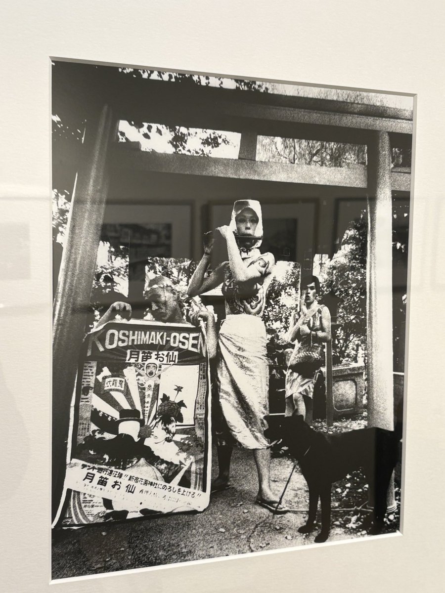 １９６０－１９８２-東京工芸大学写大ギャラリ－ア－カイヴ 森山大道写真集成 森山大道写真集成⑤ 1960─1982 東京工芸大学 写大ギャラリー