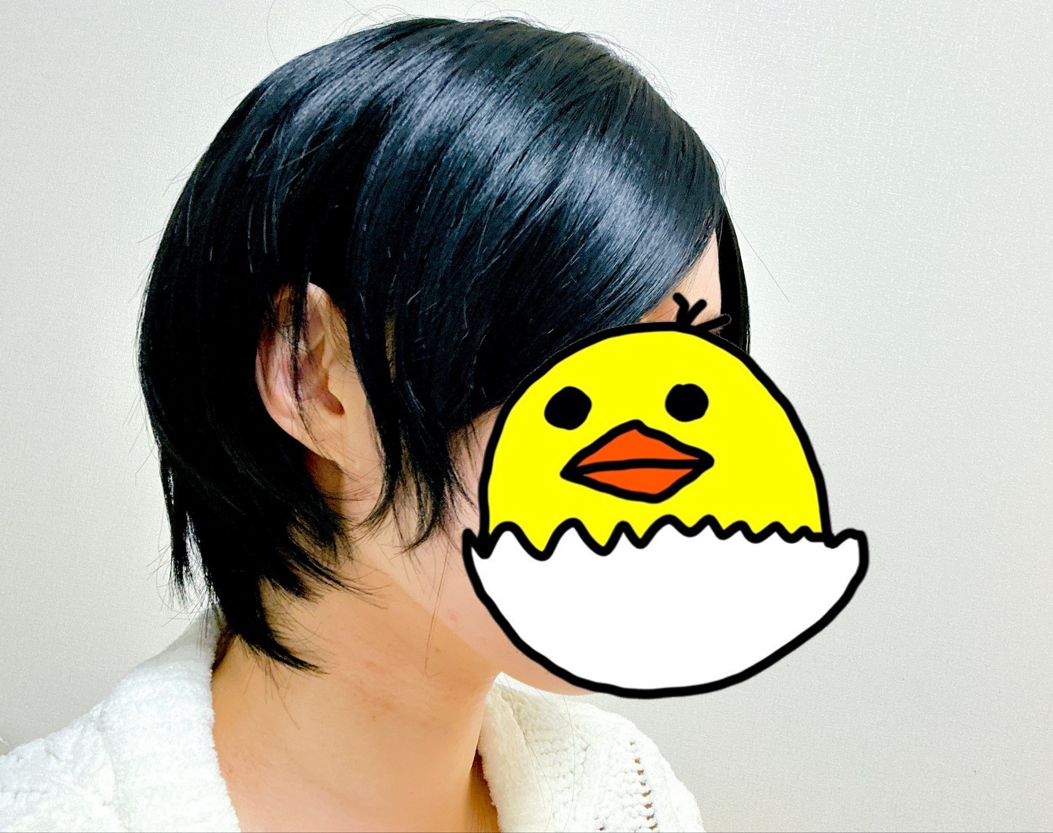 たまぴよ🐣Twitch (@TamaPiyo1122) / X