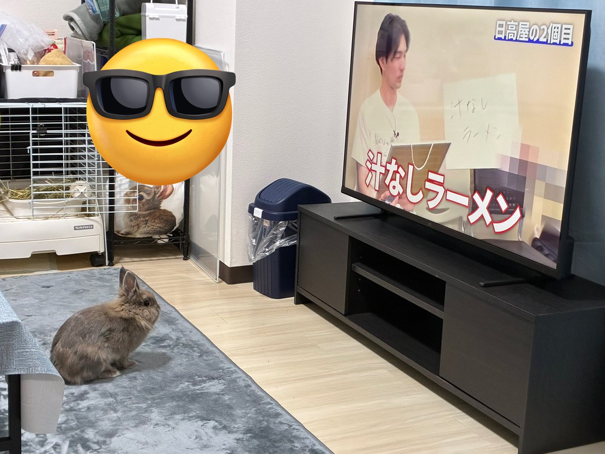 nibiru_rabbit's tweet image. バキ童を見るうさぎ