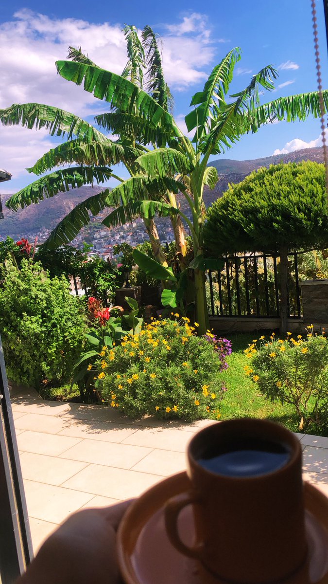 Sevgitasss's tweet image. Bi kahve?