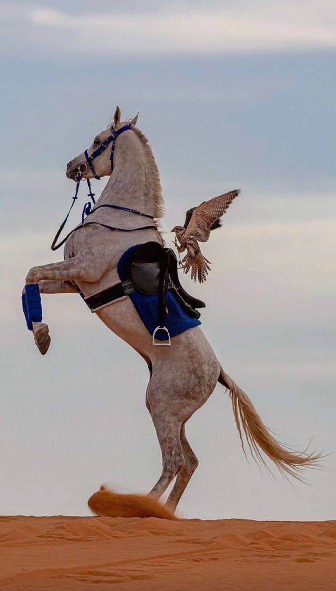 خـــالـــد tweet media