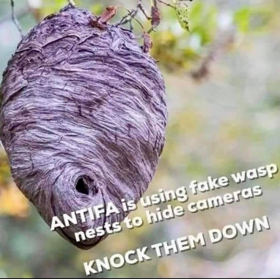 Watson Herbusch (@watson_serves) on Twitter photo 