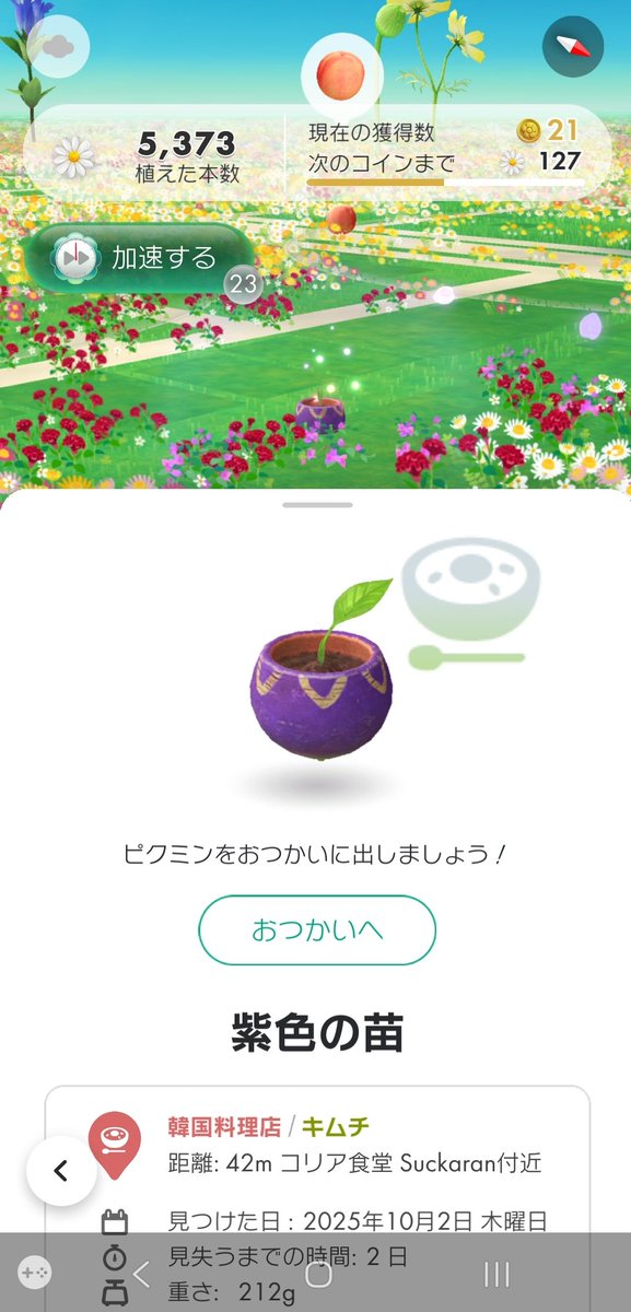 LOVOT20's tweet photo. 毎週狙っても全然出なかったキムチの苗やっと出た!!
うれしー⤴️ https://t.co/S8eEVuA8B3