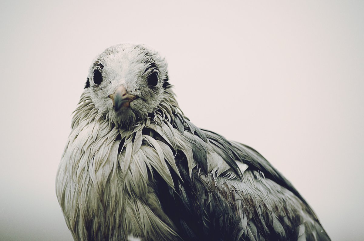 laycomathi's tweet image. 