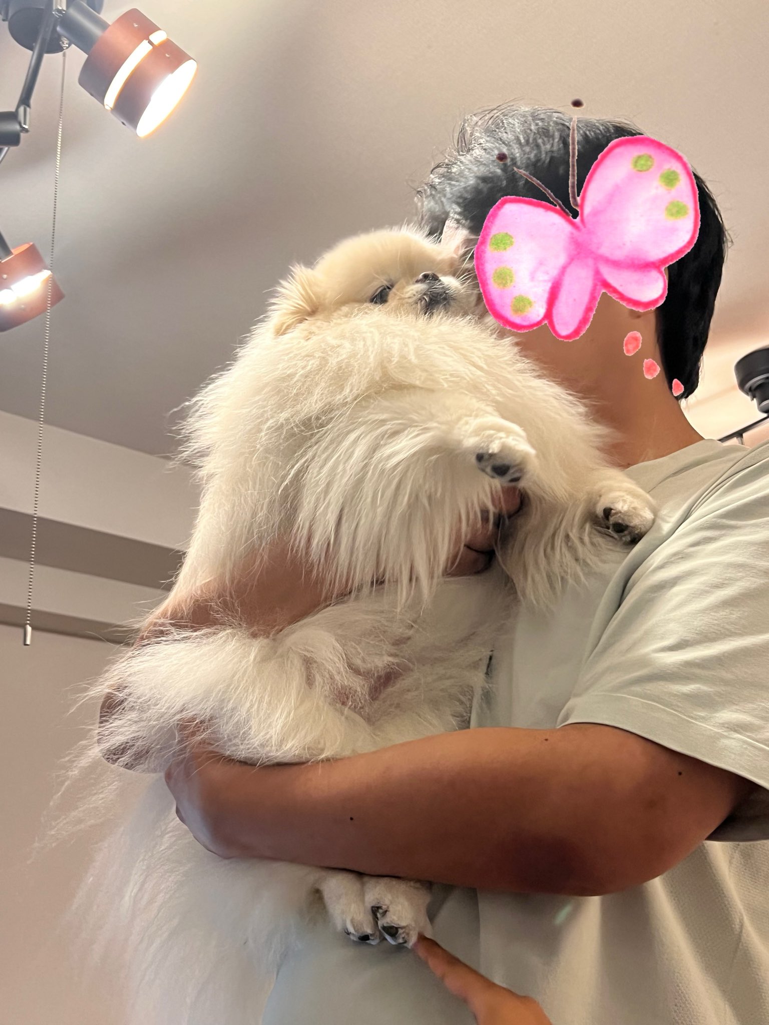 なんこつ (@nankotsudesu315) / X