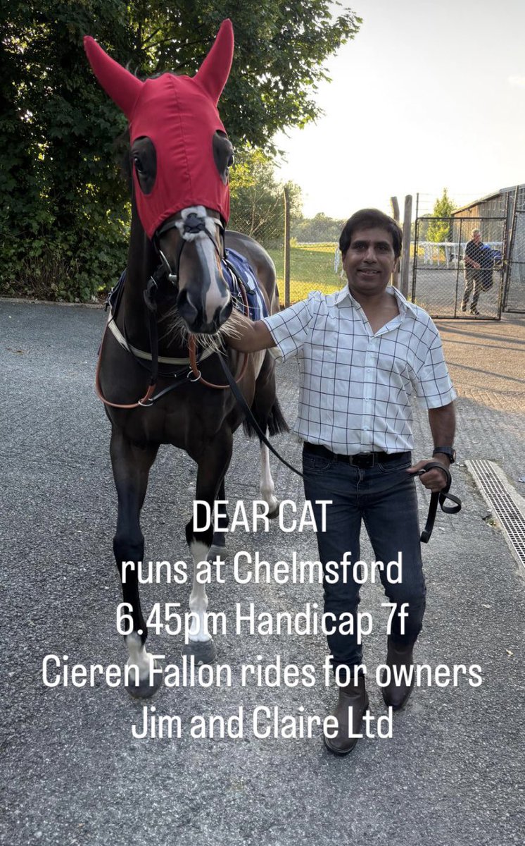 Warren Greatrex (@wgreatrexracing) on Twitter photo 