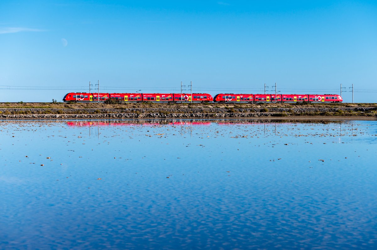 liO Train SNCF Occitanie tweet media