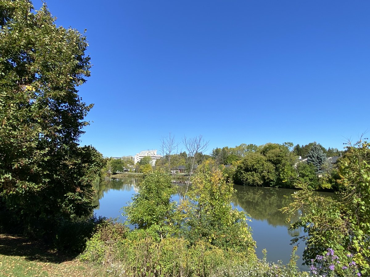 🏡New Lower Price🏡

1 Monsignor Henkey Terrace, Hamilton
located in #stelizabethvillage 

MLS: 40775071
ONLY: $768,000

Corner unit carpet-free 2 bed, 1.5 bath bungalow located facing a pond + two car driveway + garage

Contact: 905-574-8178

#RemaxEscarpment #VermaRobinsGroup