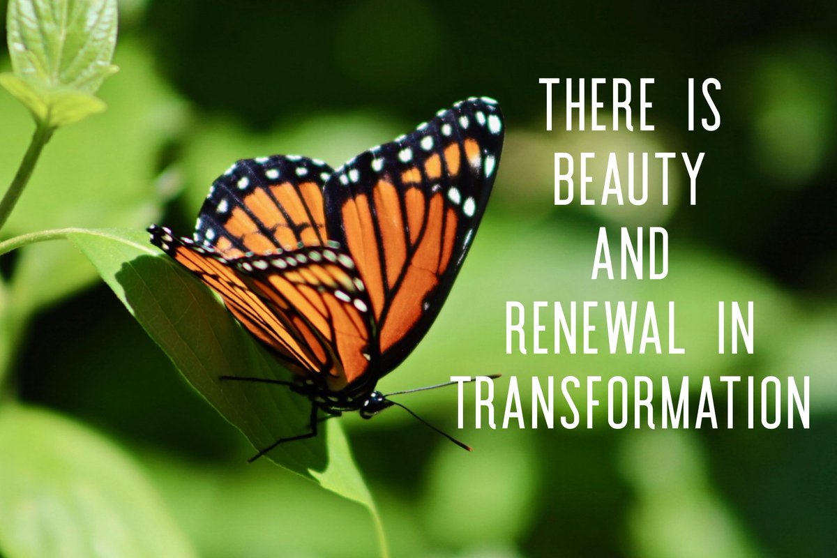 KitRosato's tweet image. ThursdayTransformation: Taking time this morning to acknowledge all the change that is bringing me closer to who I want to be in life and business. #personaldevelopment #goals