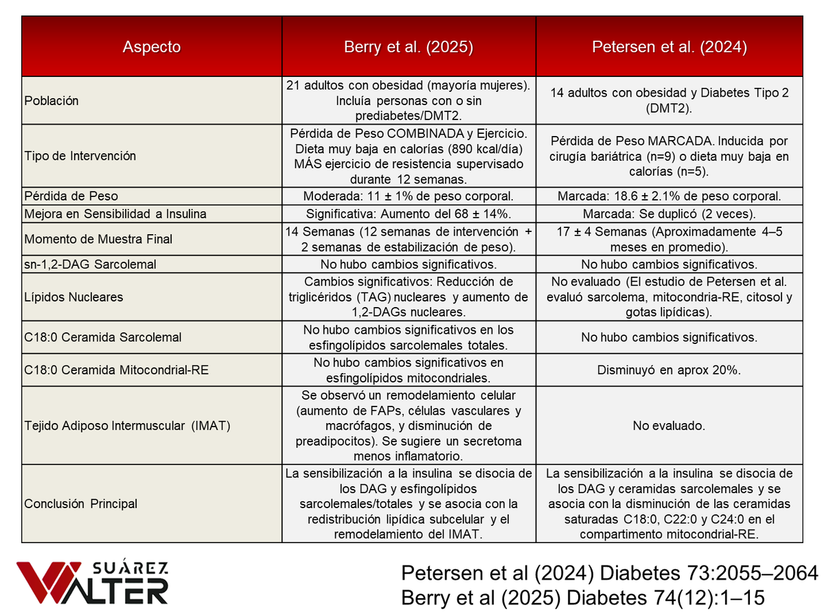 IMPACTO DE LA PÉRDIDA DE PESO Y EL EJERCICIO FÍSICO EN LOS LÍPIDOS INTRAMIOCELULARES MUSCULARES Y EL TEJIDO ADIPOSO INTERMUSCULAR EN PERSONAS CON OBESIDAD CON Y SIN DIABETES TIPO 2