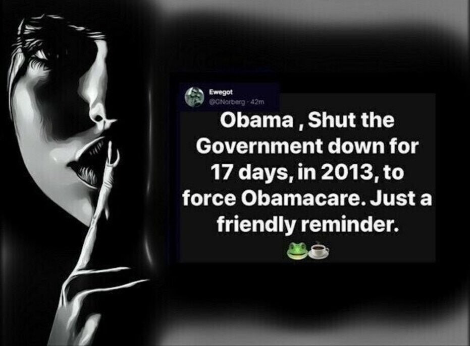 CRRJA5's tweet photo. Democrats, just a friendly reminder.

Obama, Shut the Government down for 17 days, in 2013, to force Obamacare. https://t.co/XsLCRMCaKj