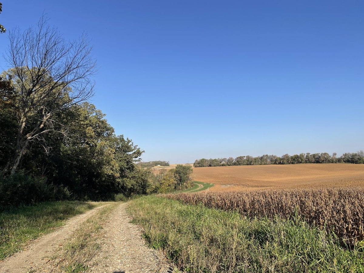 I went for a long walk this morning.

Years ago, I was in counseling, and my counselor said “you’re grieving about 8 major things right now. So we’re going to learn how to walk through grief.”

Yesterday I made a list, of major life changing grief that has hit our family in the