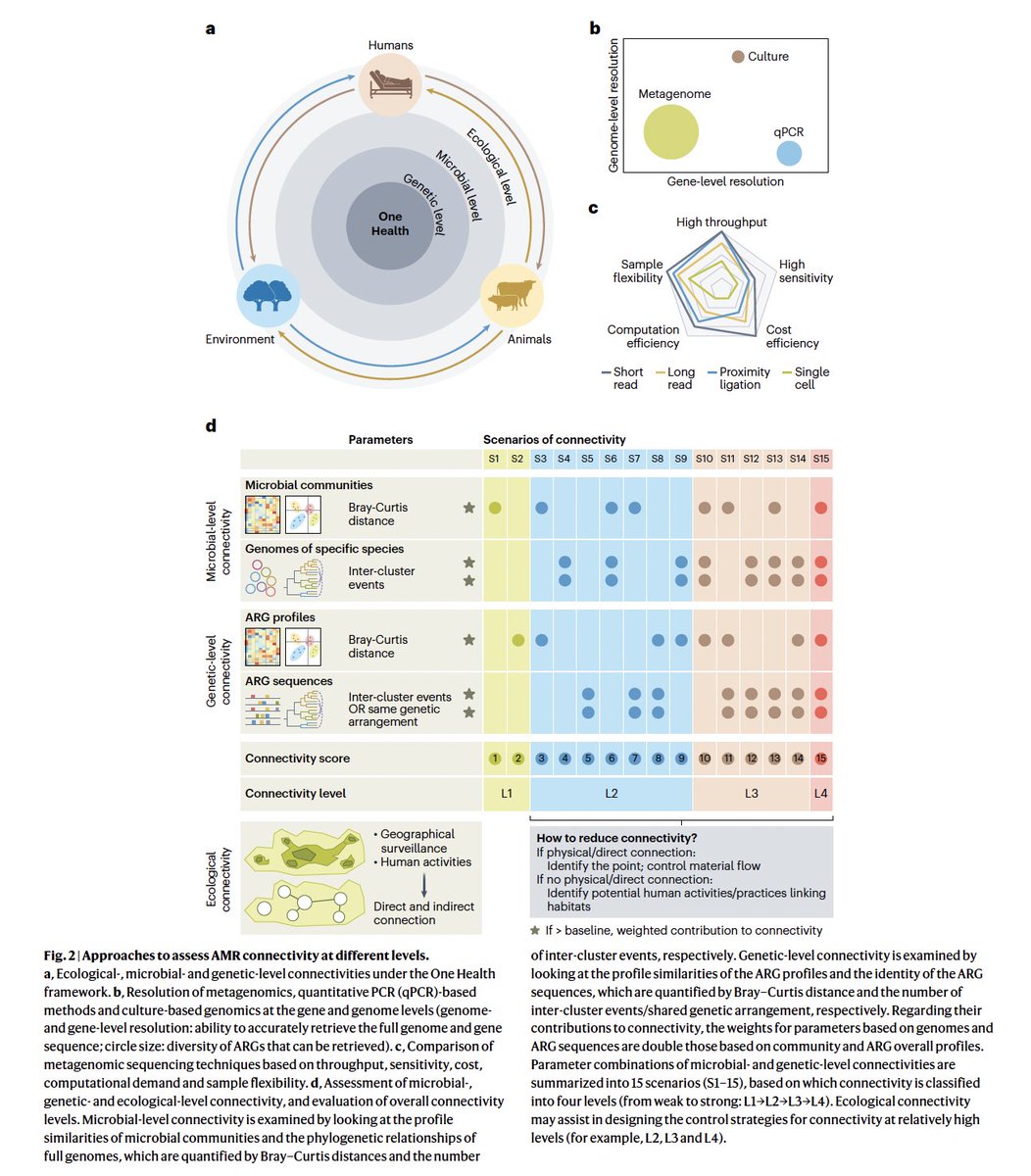 Despo Fatta-Kassinos tweet media