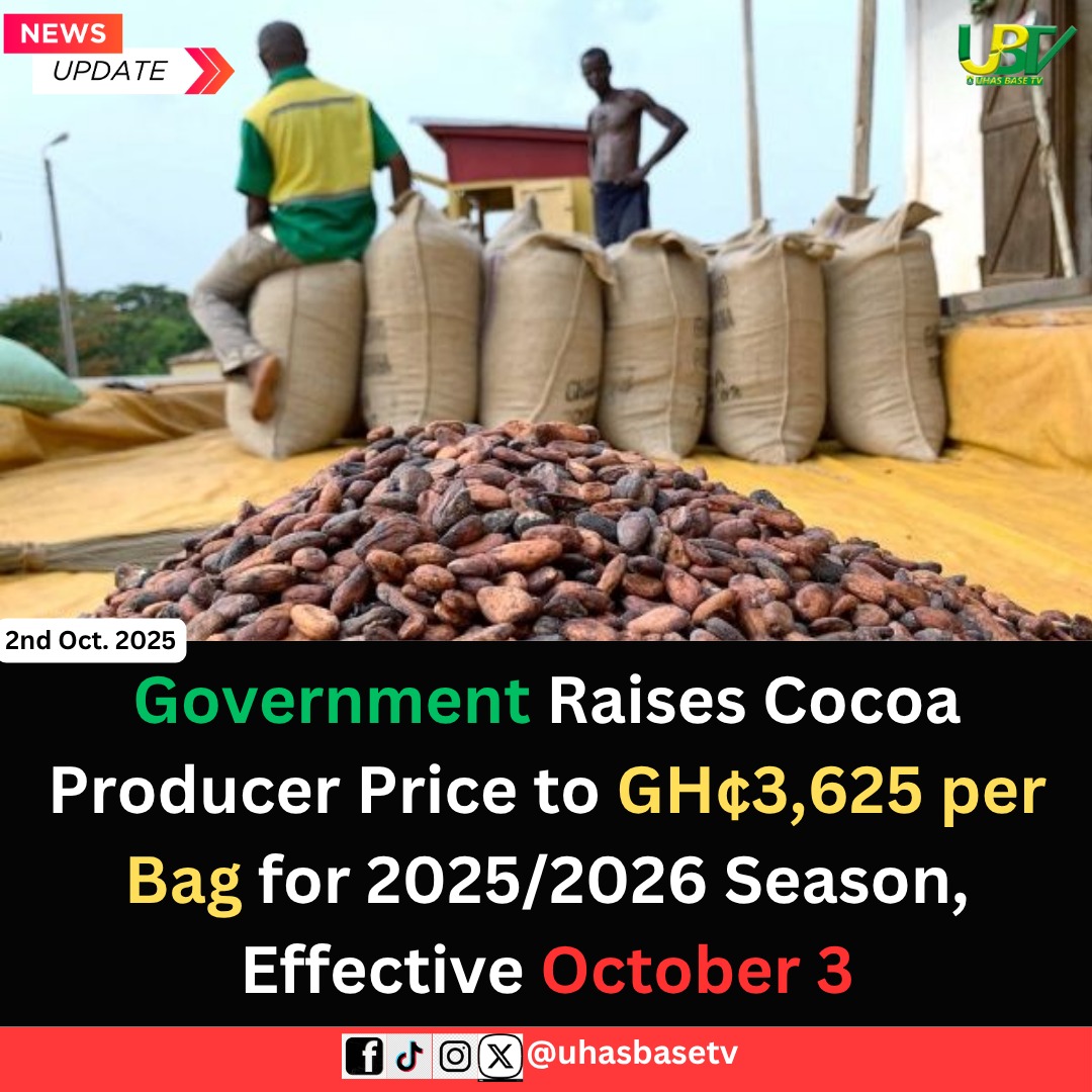 uhasbasetv's tweet image. The Government has set the producer price at GH₵3,625 per bag for the 2025/2026 season. Effective October 3. A significant increase for Ghana&apos;s cocoa sector.
#CocoaPrice #GhanaNews #Agribusiness