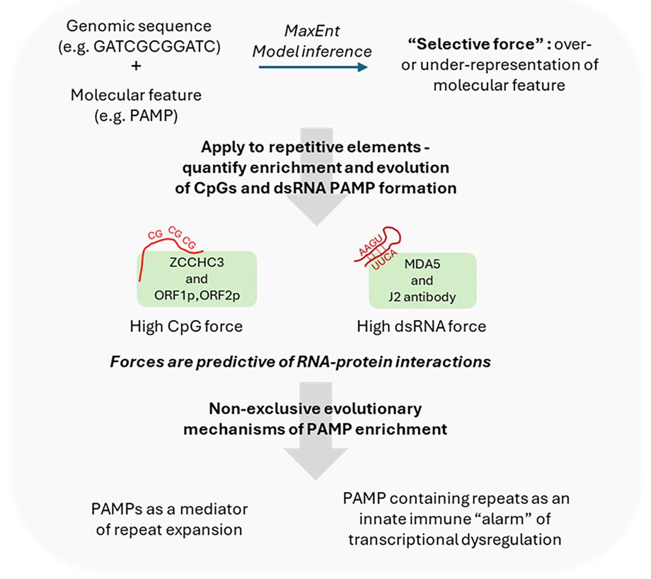 Benjamin D. Greenbaum (@bengrbm) on Twitter photo Sharing a paper below in <a href="/CellGenomics/">Cell Genomics</a> that took us literally 10 years+ (!) to write on the topics of 👇👇👇
* How, exactly, do we quantify viral mimicry - the expression of molecular features usually associated with nonself viruses by our own "self" cells?
* Why do we see Sharing a paper below in <a href="/CellGenomics/">Cell Genomics</a> that took us literally 10 years+ (!) to write on the topics of 👇👇👇
* How, exactly, do we quantify viral mimicry - the expression of molecular features usually associated with nonself viruses by our own "self" cells?
* Why do we see