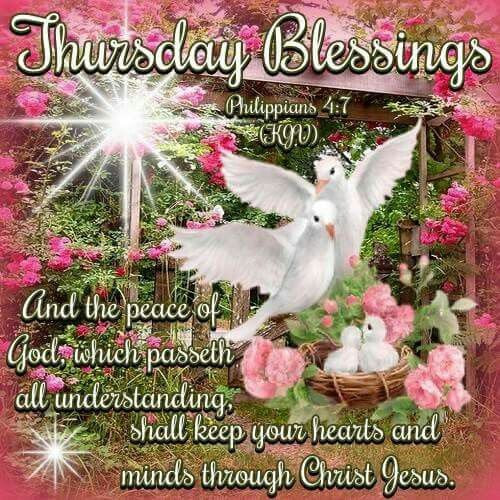 Dianna2645's tweet image. 🙏🕊️🤍🕊️🤍🌹🌷🌻🌹🌼🌹💮🌹🪻