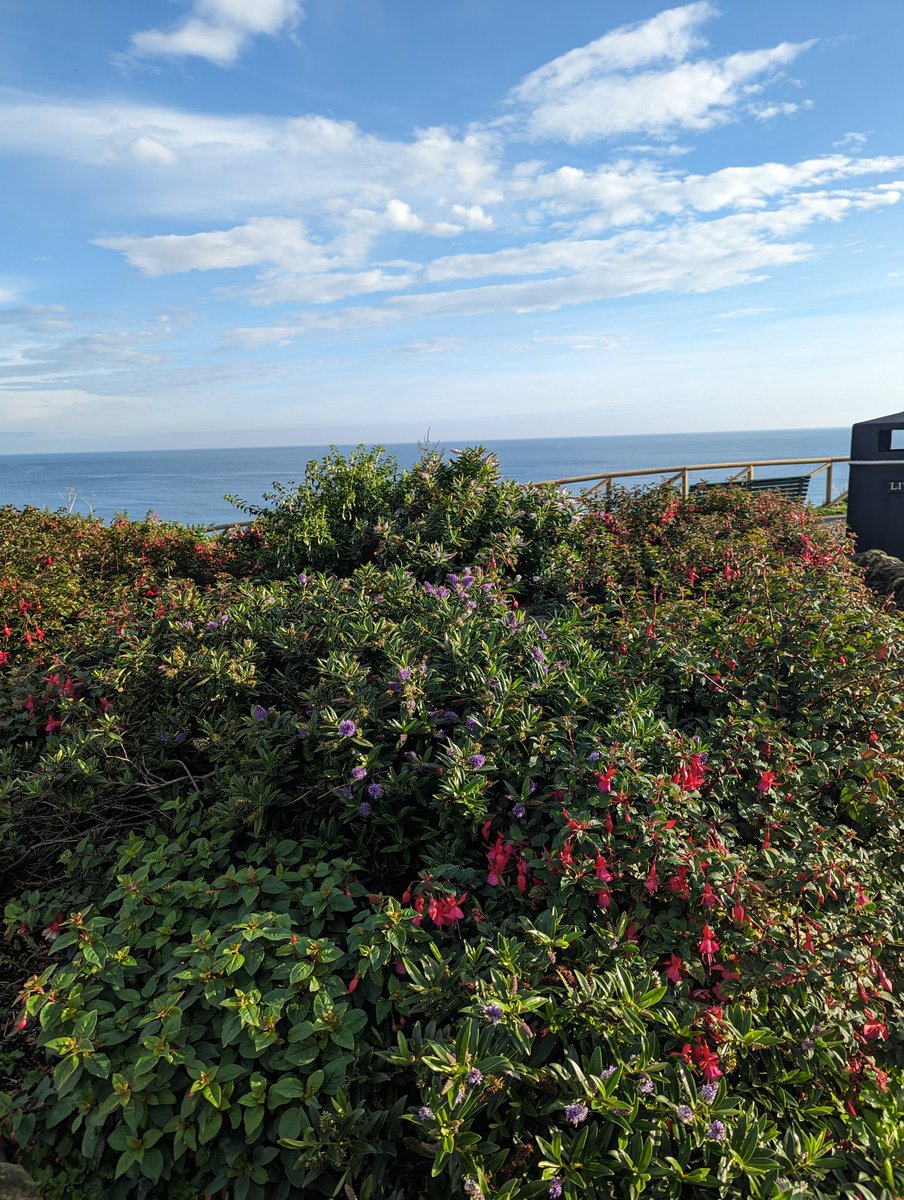 So far, so good, October. More of this please. ☀️🌊