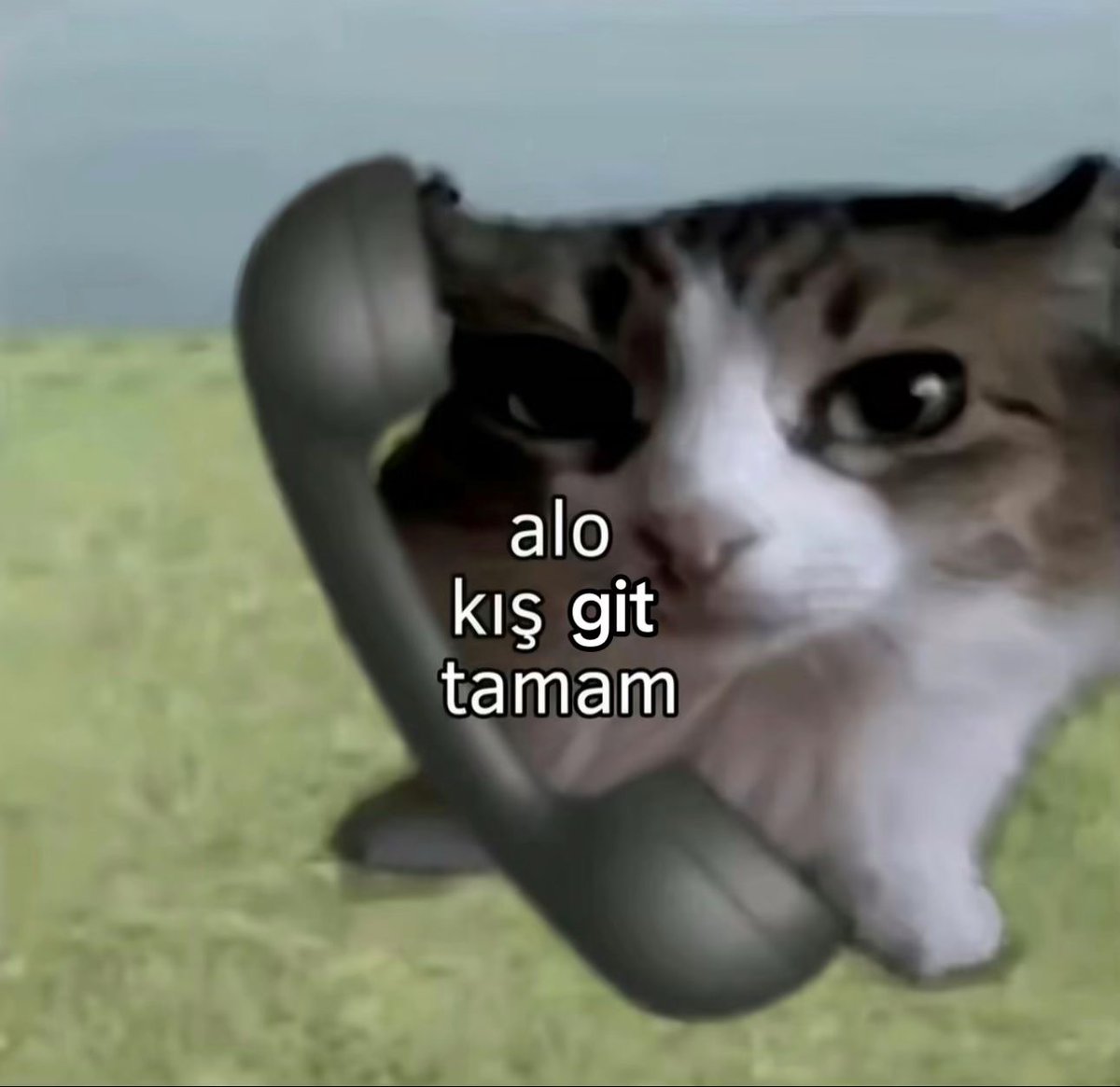 ÖZGE (@ozgeppn) on Twitter photo 