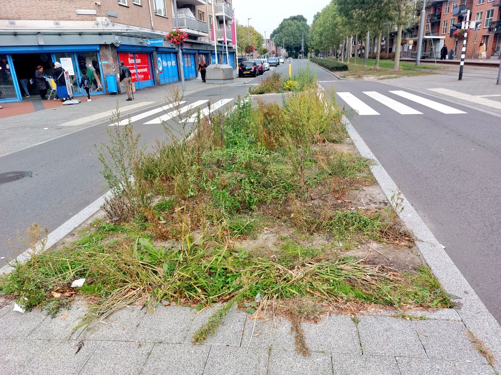 De verbeterde oversteek in Beverwaard. Deze wacht op afronding sinds afgelopen november. Eerst hier het probleem met deelscooters op trottoir, maar hedendaags met geparkeerde voertuigen na de ingreep. Van de regen in de drup eigenlijk?