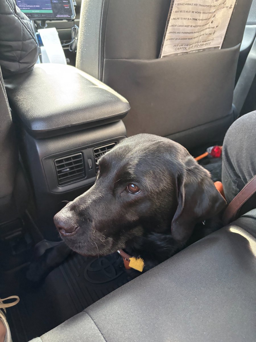 DC_DFHV's tweet image. Thursday morning ride along with Lindsey de Boo, Olivia Norman, Accessibility Advisory Committee (AAC) chairwoman, and her guide dog, Monty! #WeekWithoutDriving #HappeningNow #WeAreDC
